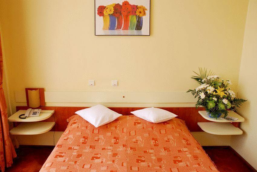Hotel Astoria City Center Iasi Bilik gambar